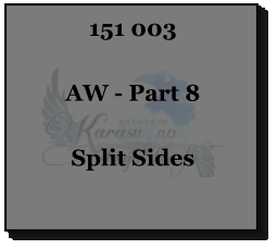 151 003  AW - Part 8  Split Sides