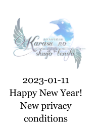 2023-01-11 Happy New Year! New privacy conditions