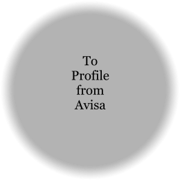To Profile from Avisa
