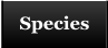 Species