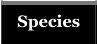 Species