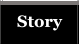 Story