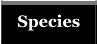 Species