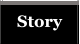 Story