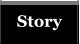 Story